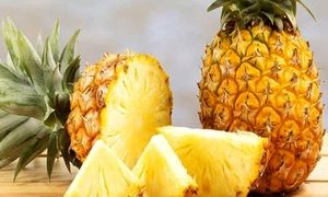 چگونه در منزل آناناس پرورش دهیم؟ (ویدیو)