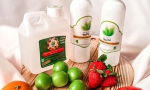 اکتیوا؛ مجموعه‌ای پیشگام در حفظ سلامت مرکبات