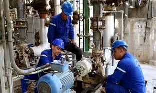 پتروشیمی خلیج فارس؛ دغدغه‌مند در اشتغال‌زایی