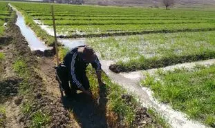 عدم توجه دولت به بخش کشاورزی