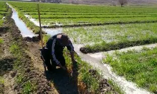عدم توجه دولت به بخش کشاورزی