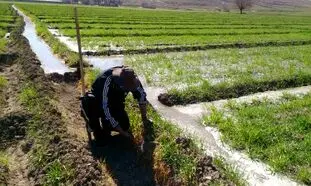 عدم توجه دولت به بخش کشاورزی