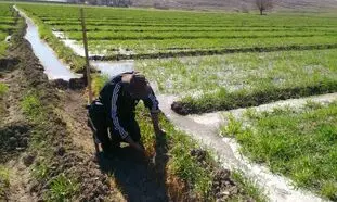 عدم توجه دولت به بخش کشاورزی