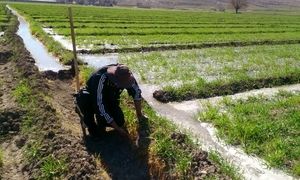 عدم توجه دولت به بخش کشاورزی
