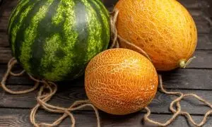 هندوانه، خربزه و طالبی هم لاکچری شدند!