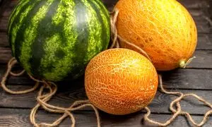 هندوانه، خربزه و طالبی هم لاکچری شدند!