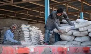 سیمان در بازار نایاب شد