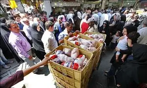 گرانی روزافزون مرغ با دلال بازی