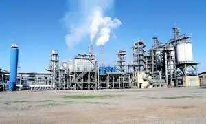 کربن بلک دوده فام؛ رکورددار بازار بورس