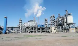 کربن بلک دوده فام؛ رکورددار بازار بورس