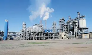 کربن بلک دوده فام؛ رکورددار بازار بورس