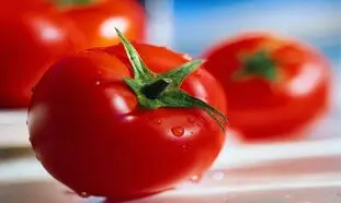 دفاع عجیب از گرانی بی‌موقع گوجه فرنگی !
