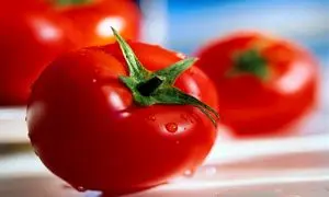 دفاع عجیب از گرانی بی‌موقع گوجه فرنگی !