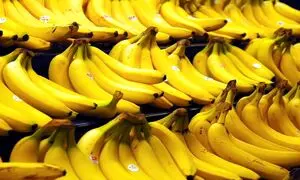 3000 تُن موز در گمرک ایران فاسد می‌شود؟