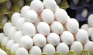 زنگ گرانی تخم مرغ به صدا درآمد