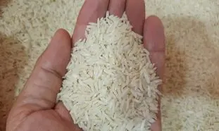 برنامه دولت برای جلوگیری از گران شدن برنج
