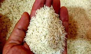 برنامه دولت برای جلوگیری از گران شدن برنج