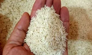 برنامه دولت برای جلوگیری از گران شدن برنج