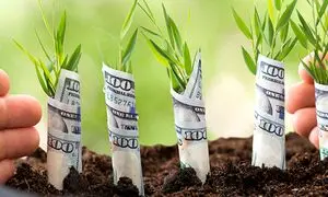 آوا نوین؛ پیشگام در ارائه خدمات مالی
