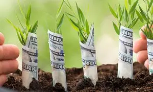 آوا نوین؛ پیشگام در ارائه خدمات مالی