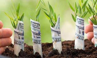 آوا نوین؛ پیشگام در ارائه خدمات مالی