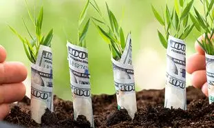 آوا نوین؛ پیشگام در ارائه خدمات مالی