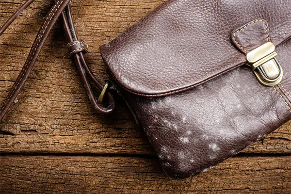 چگونه به محصولات چرمی قدیمی‌‌مان جان دوباره ببخشیم؟