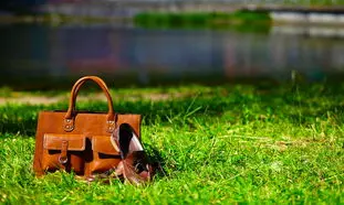 مزایای استفاده از چرم طبیعی در کیف و کفش 