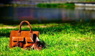 مزایای استفاده از چرم طبیعی در کیف و کفش 