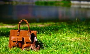 مزایای استفاده از چرم طبیعی در کیف و کفش 