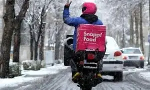 استقرار تحلیلگری منابع انسانی اسنپ فود