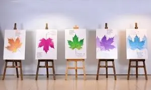 بلوبانک حامی چهل‌ودومین جشنواره بین‌المللی فیلم کوتاه تهران شد