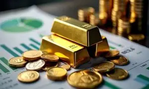 نیم میلیون آرزوی ثبت شده در طرح «گمشده» وال‌گلد