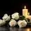 پیام تسلیت چیکا نوش ثمین به مدیرعامل نوش مازندران