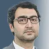 فرزین فردیس