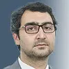 فرزین فردیس