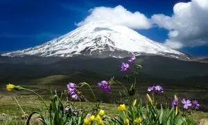 حمایت نوبیتکس از صعود 50 دانشجوی دانشگاه شریف به دماوند