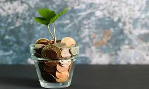 گزارش عملکرد یک سالگی گلرنگ‌ کراد