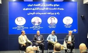 قیمت گذاری دستوری جلوی رشد پلتفرم ها را می گیرد