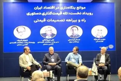 قیمت گذاری دستوری جلوی رشد پلتفرم ها را می گیرد