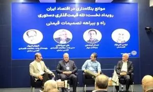 قیمت گذاری دستوری جلوی رشد پلتفرم ها را می گیرد
