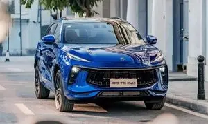 قیمت روز لاماری ایما را از کجا استعلام کنیم؟ 