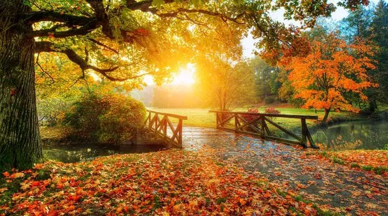 پاییز ارزان اروپا؛ سفر به مقاصد رویایی با 15درصد تخفیف