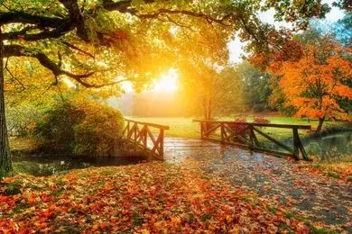 پاییز ارزان اروپا؛ سفر به مقاصد رویایی با 15درصد تخفیف