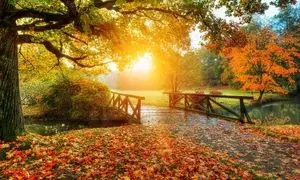 پاییز ارزان اروپا؛ سفر به مقاصد رویایی با 15درصد تخفیف