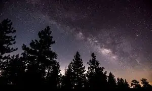 نشست «مربوطیت»؛ مواجهه اندیشه معاصر با اینجا و اکنون