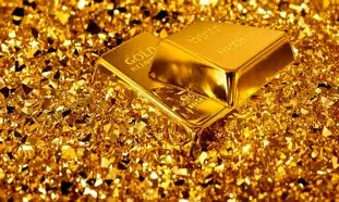افتتاح سومین شعبه طلاین در مجتمع کوروش تهران
