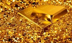 افتتاح سومین شعبه طلاین در مجتمع کوروش تهران