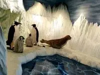 تخفیف زمستانی برای بازدید از مراکز تفریحی تهران 