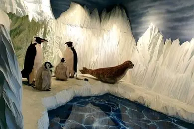 تخفیف زمستانی برای بازدید از مراکز تفریحی تهران 